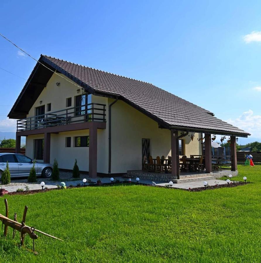 Pensiunea Daria Hateg Ngoại thất bức ảnh